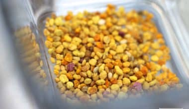 کپسول گرده گل اعلا