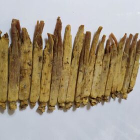 ریشه جینسینگ قرمز کره ای 6 ساله